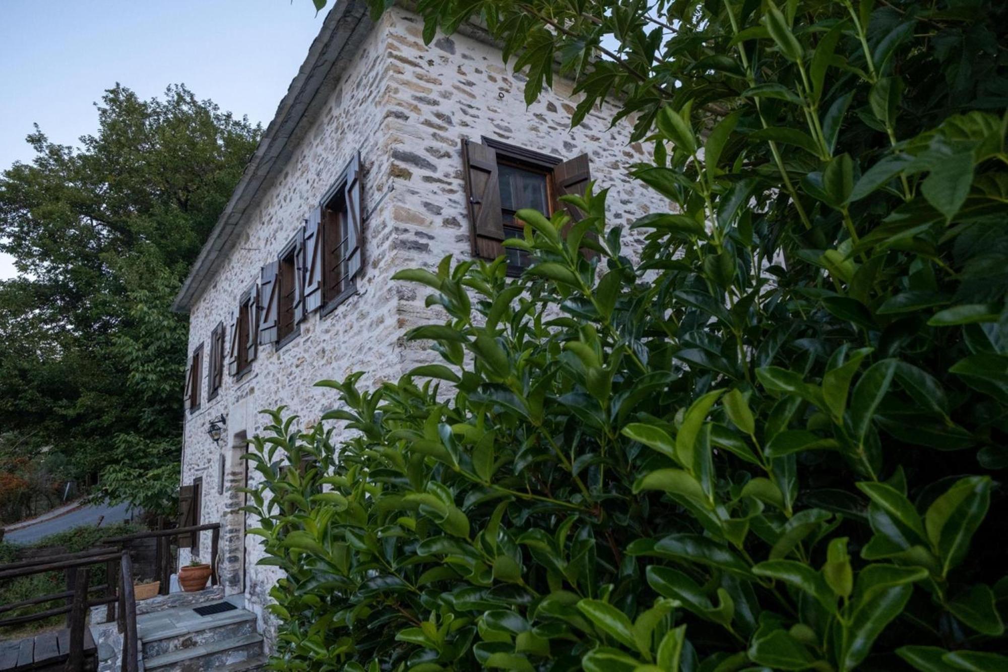 Aparthotel Archontiko Michael Vyzítsa Exterior foto