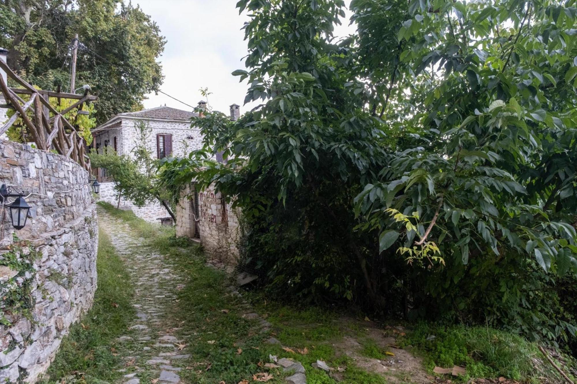 Aparthotel Archontiko Michael Vyzítsa Exterior foto